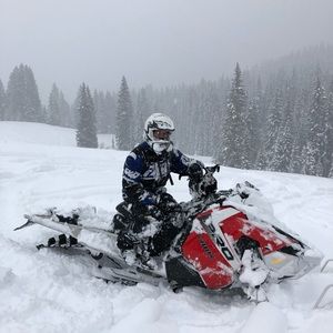 Meet your Posher, Austin